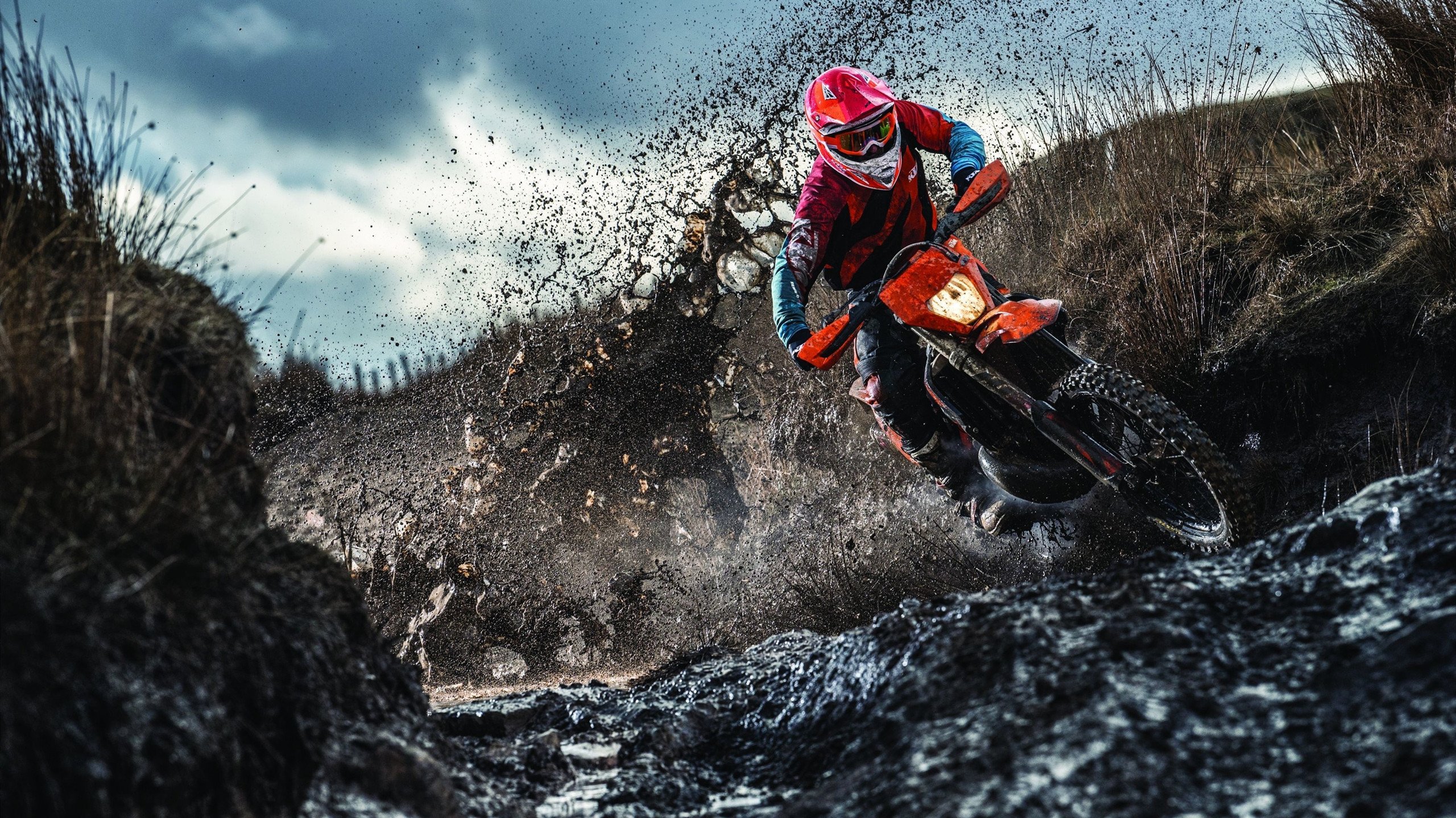 从蒙特卡洛红土到温网草地，穆雷的制胜哲学与鏖战精神